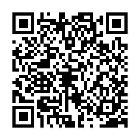 QR code for 6P9381X