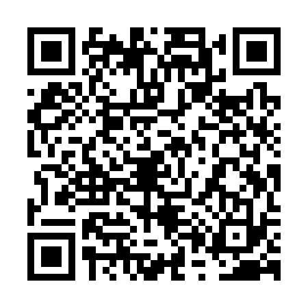 QR code for 6P9S339