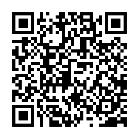 QR code for 6PP0009
