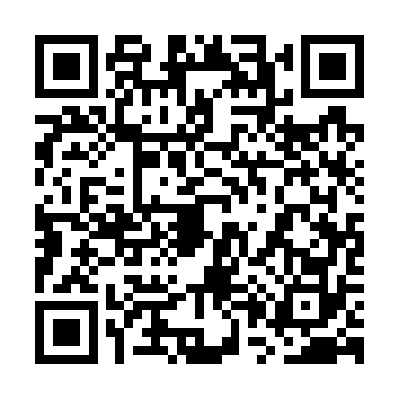 QR code for 7P17729