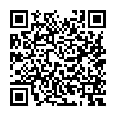QR code for 8L19411