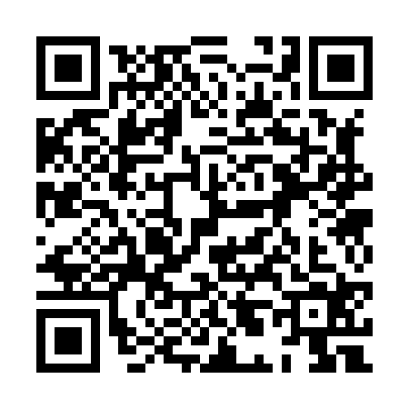 QR code for 8L38241