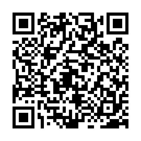 QR code for 8L55128