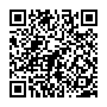 QR code for 8P2P389