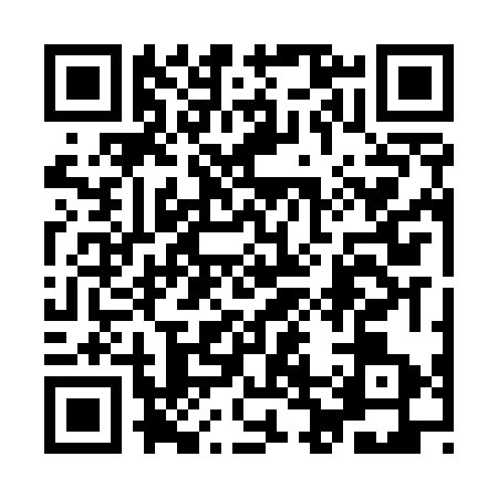 QR code for 9B6E738