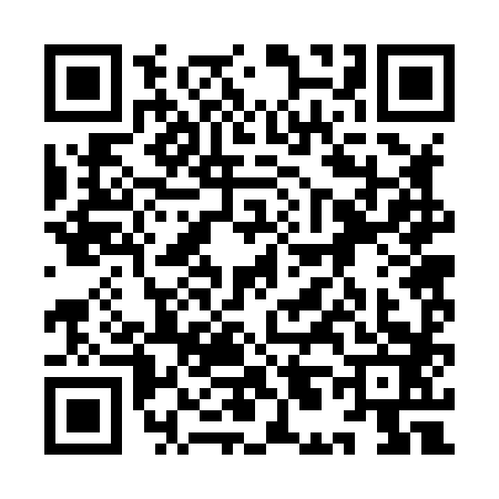 QR code for 9L28838