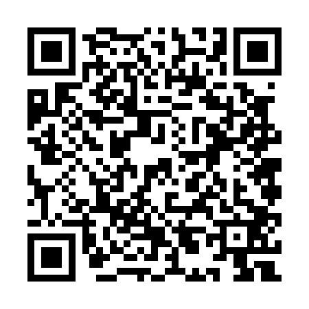 QR code for 9L60029