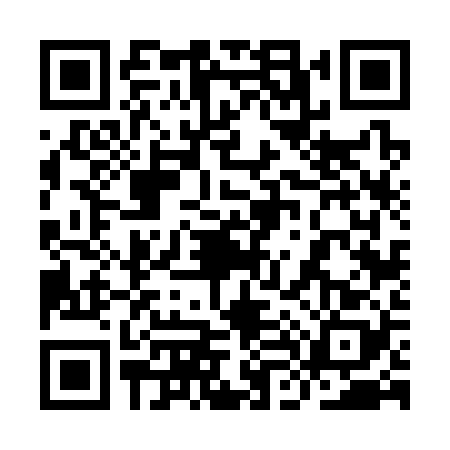 QR code for 9L63281