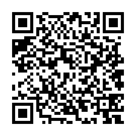 QR code for 9L65384