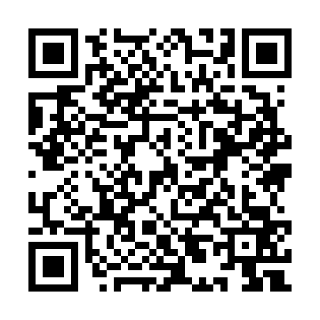 QR code for 9L96638
