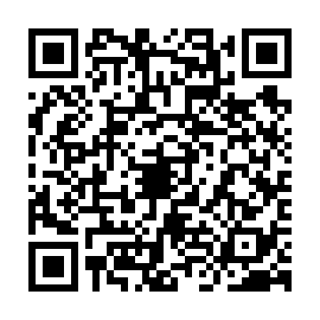 QR code for 9LC6383