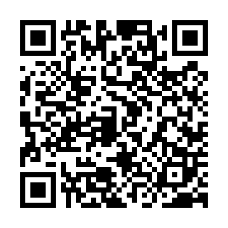QR code for 9LV5029