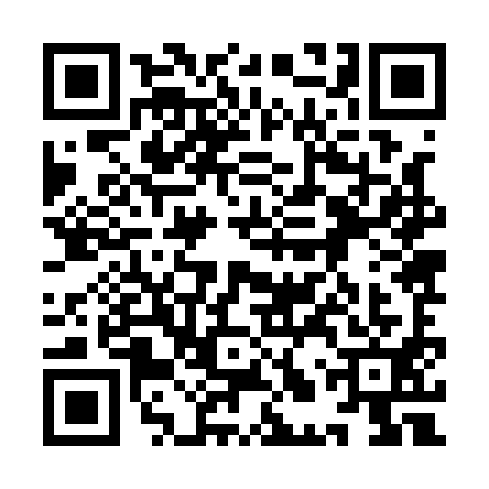 QR code for 9LZ1911