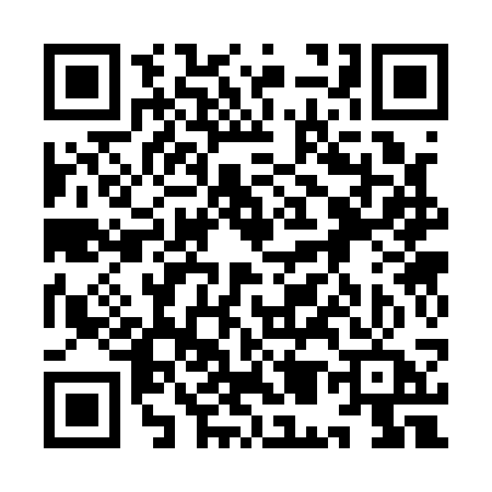 QR code for 9M313AS