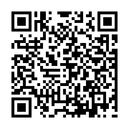 QR code for 9P313FH