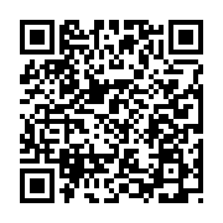 QR code for 9P4318P