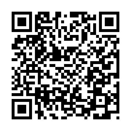 QR code for 9P453SI