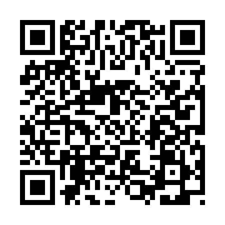 QR code for 9P8199Q
