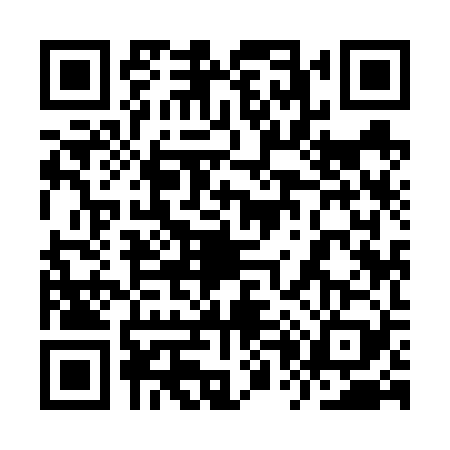 QR code for 9P96295