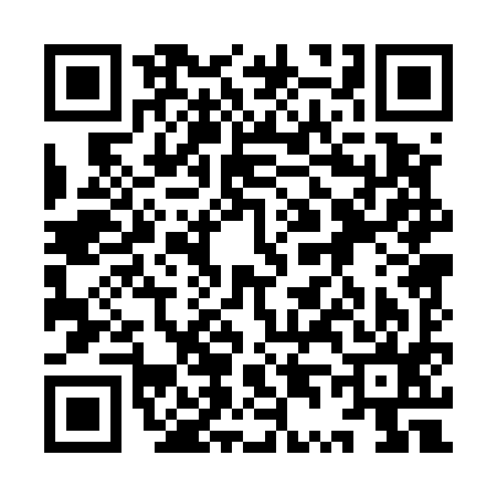 QR code for 9T0595O