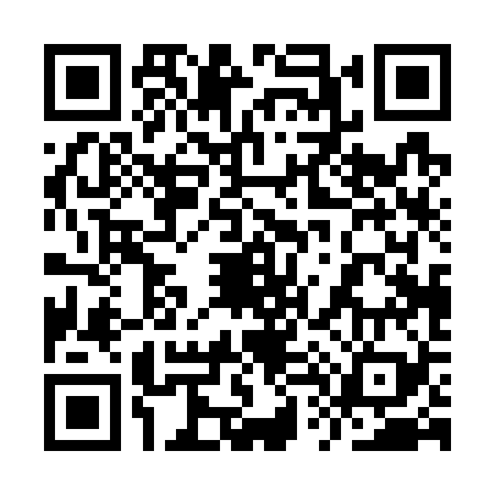 QR code for 9T0729L