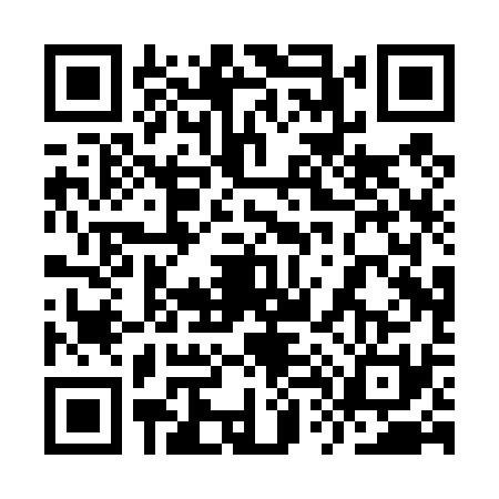 QR code for 9T0T313