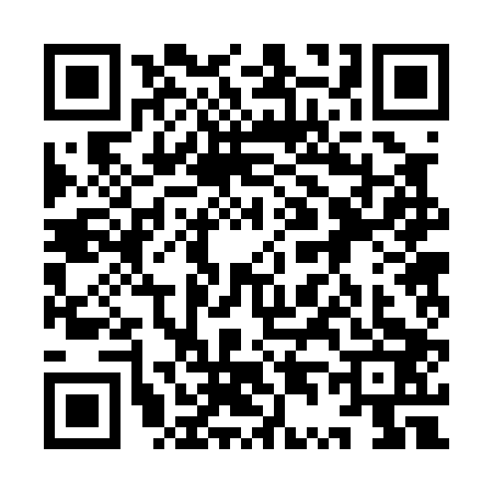 QR code for 9T20038