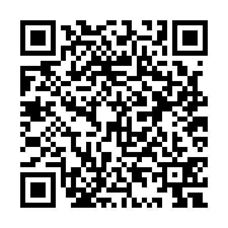QR code for 9T2A313