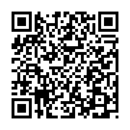 QR code for 9T2P511