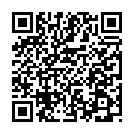QR code for 9T4007H
