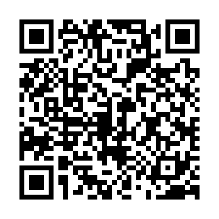 QR code for E123311