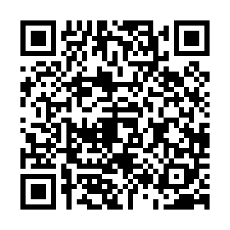 QR code for E200484
