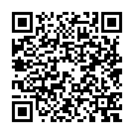 QR code for E209313