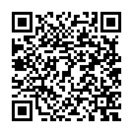 QR code for E228773
