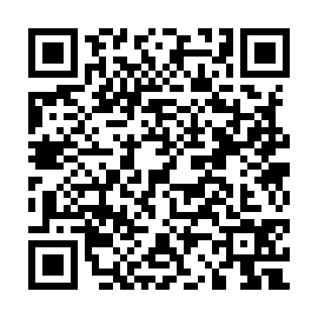 QR code for E239348