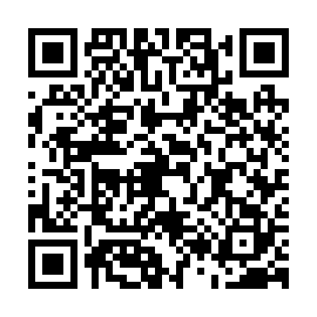 QR code for E272228