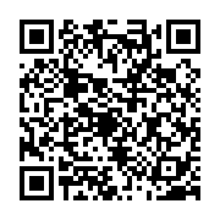 QR code for E311397