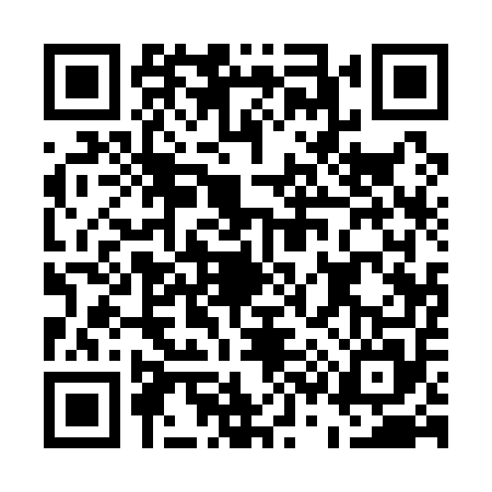 QR code for E311555