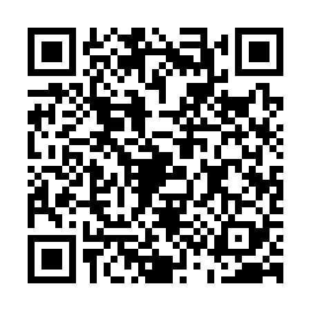 QR code for E313295