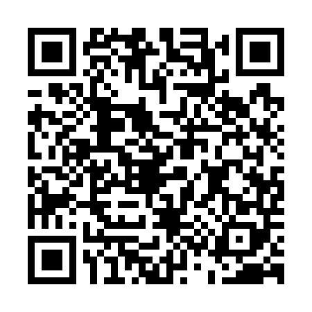 QR code for E317484