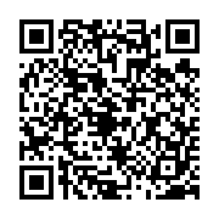 QR code for E336524