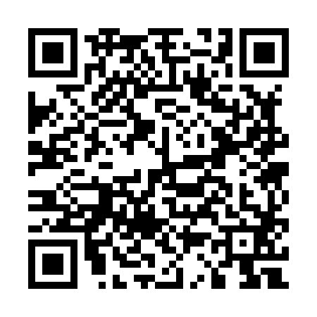 QR code for E338826