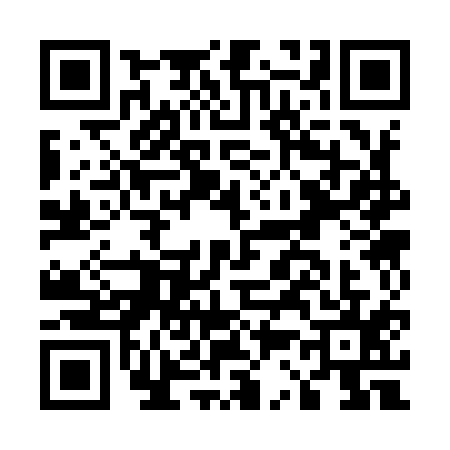 QR code for E339152