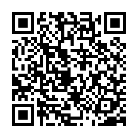 QR code for E370490