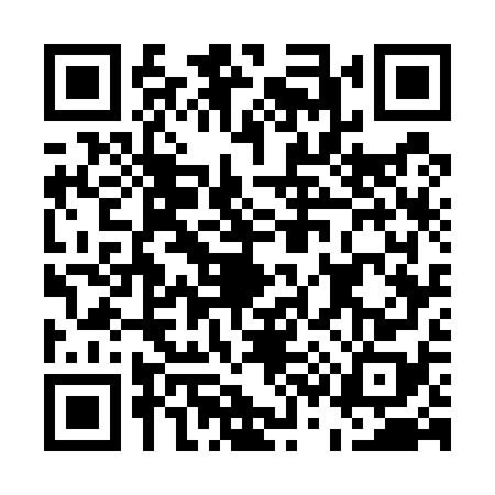 QR code for E375789