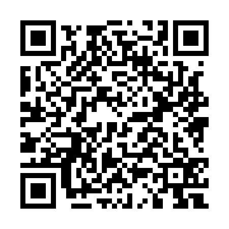 QR code for E381365