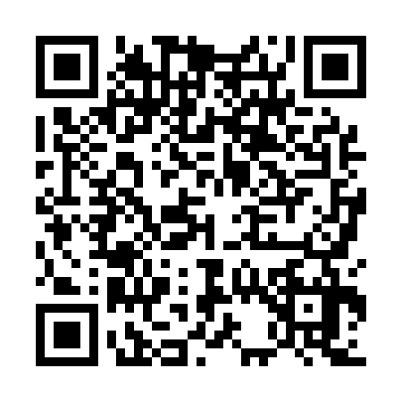 QR code for E381371