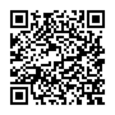 QR code for E381545