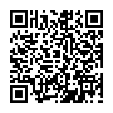 QR code for E383775