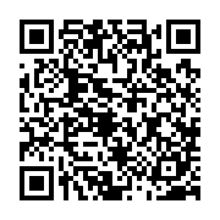 QR code for E387850